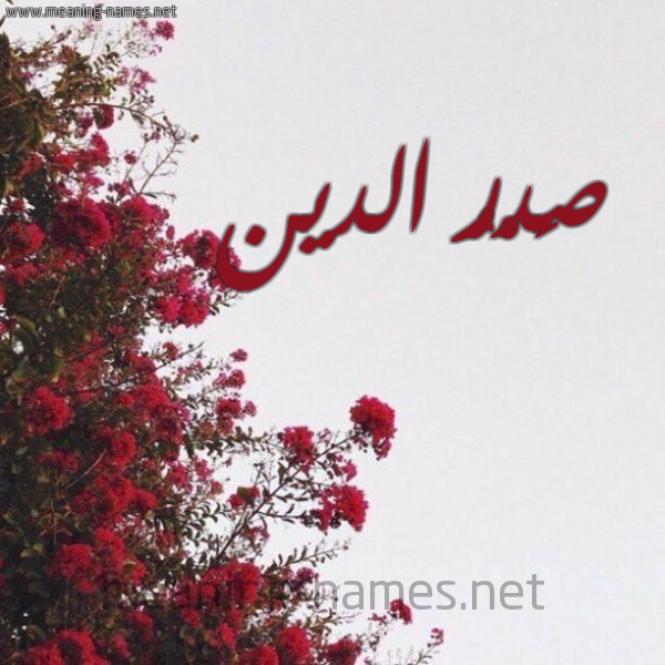 شكل 18 صوره الورد الأحمر للإسم بخط رقعة صورة اسم صَدْرُ الدين SADRO-ALDIN